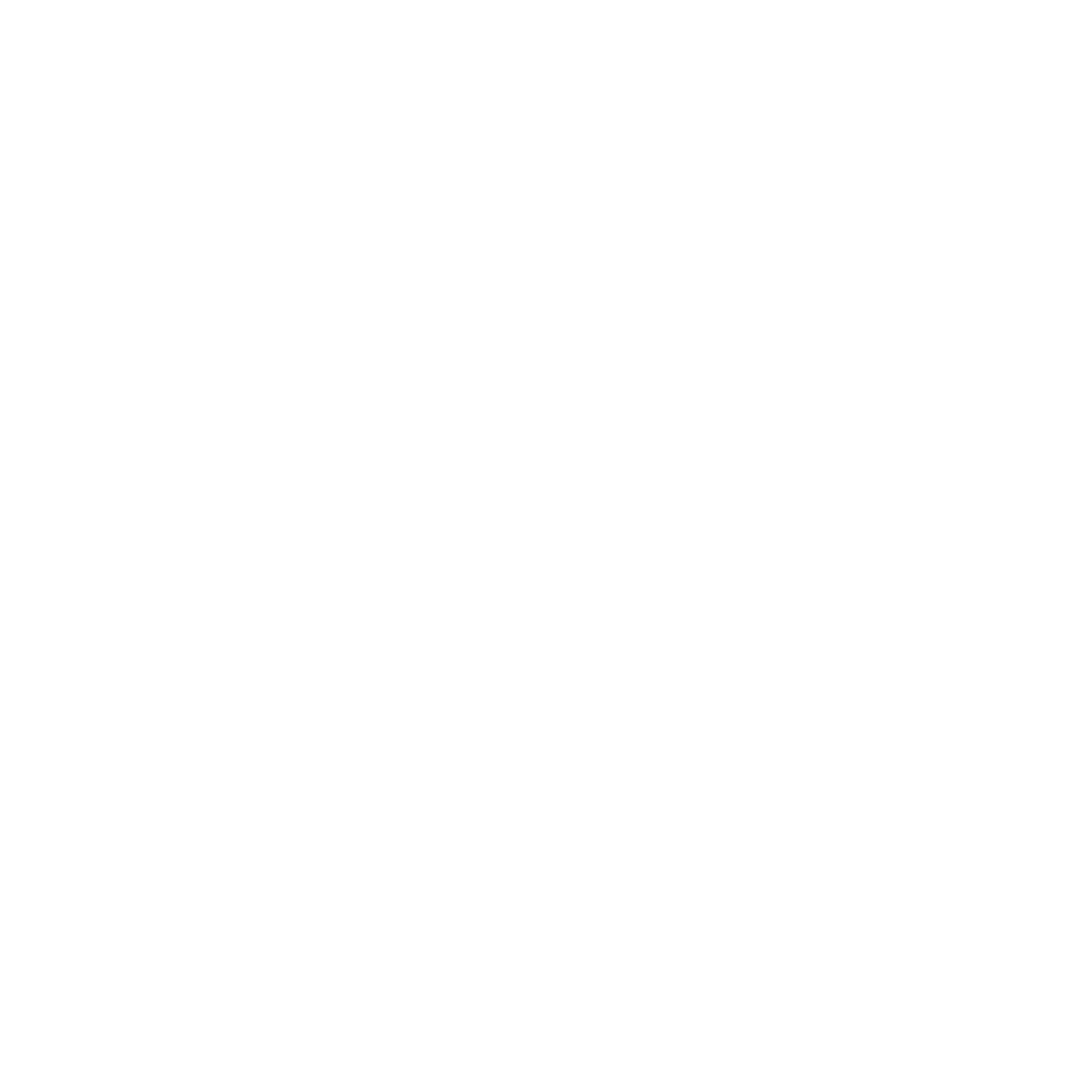 GSV Logo Wit icon